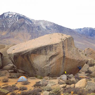11The Buttermilks The Swarm V1314a.jpg