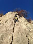 Biaou 5c  / Les Dauphins