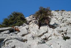 Buis-les-Baronnies (Baume Rousse)