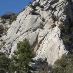 Buis-les-Baronnies (Baume Rousse)