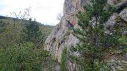 Pelgeires
