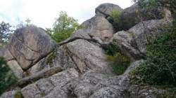 Pelgeires