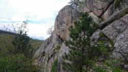 Pelgeires
