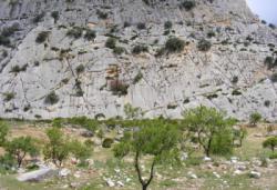 Valle de Abdalajis (Nacimiento)