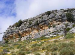 Valle de Abdalajis (Nacimiento)