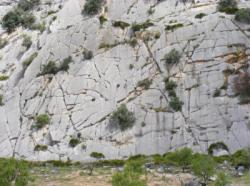 Valle de Abdalajis (Nacimiento)