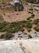 Valle de Abdalajis (Nacimiento)