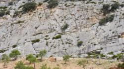 Valle de Abdalajis (Nacimiento)