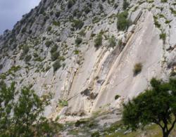 Valle de Abdalajis (Nacimiento)