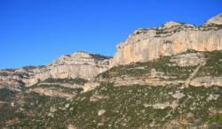 Montsant (Escaladei)