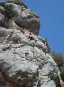 Coll de Nargó