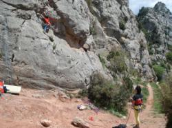 Coll de Nargó