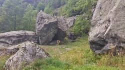 Blocs de Ceris