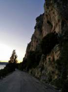 Marjan