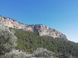 Castel d'Alaró
