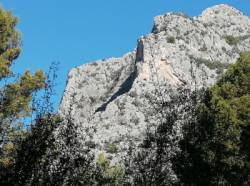 Sa Gubia