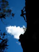 Narrabeen Steep