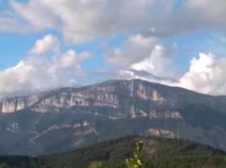 Glandasse