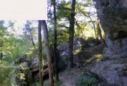 Crégols
