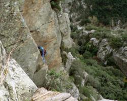 Le Caroux
