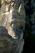 Le Caroux