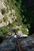 Le Caroux
