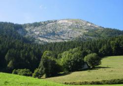 Le Charmant Som