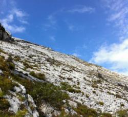 Le Charmant Som
