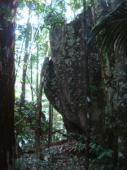 La savane roche Virginie