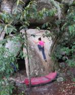 Cocalzinho (Casa da Cobra)