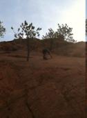 Red Rock Canyon Open Space
