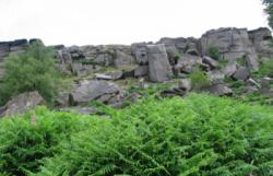 Peak district (Stanage)