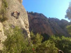 Montserrat (Can Jorba)