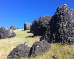 Nut Tree Boulders (Hillcrest)