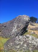 Nut Tree Boulders (Hillcrest)