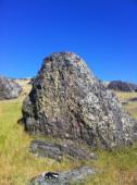 Nut Tree Boulders (Hillcrest)