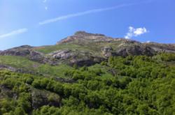 Moustardé