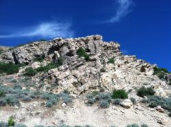 Sport Utility Crag