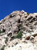 Sport Utility Crag