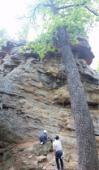 Mineral Wells