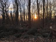 Haycock Mountain