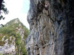 Vall de Ribes