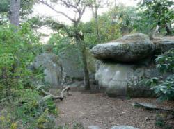 Fontainebleau (Rocher Gréau)