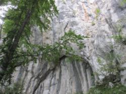 Kotečnik (Pisani Svet)