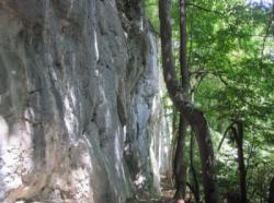 Kotečnik (Pisani Svet)