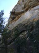 Montfaucon