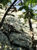 Monte Castellaro (Alpicella)