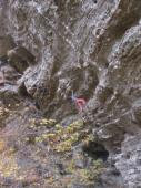 Red River Gorge (The Motherlode)