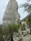 Connelles