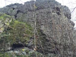 La Roche à Frêne
